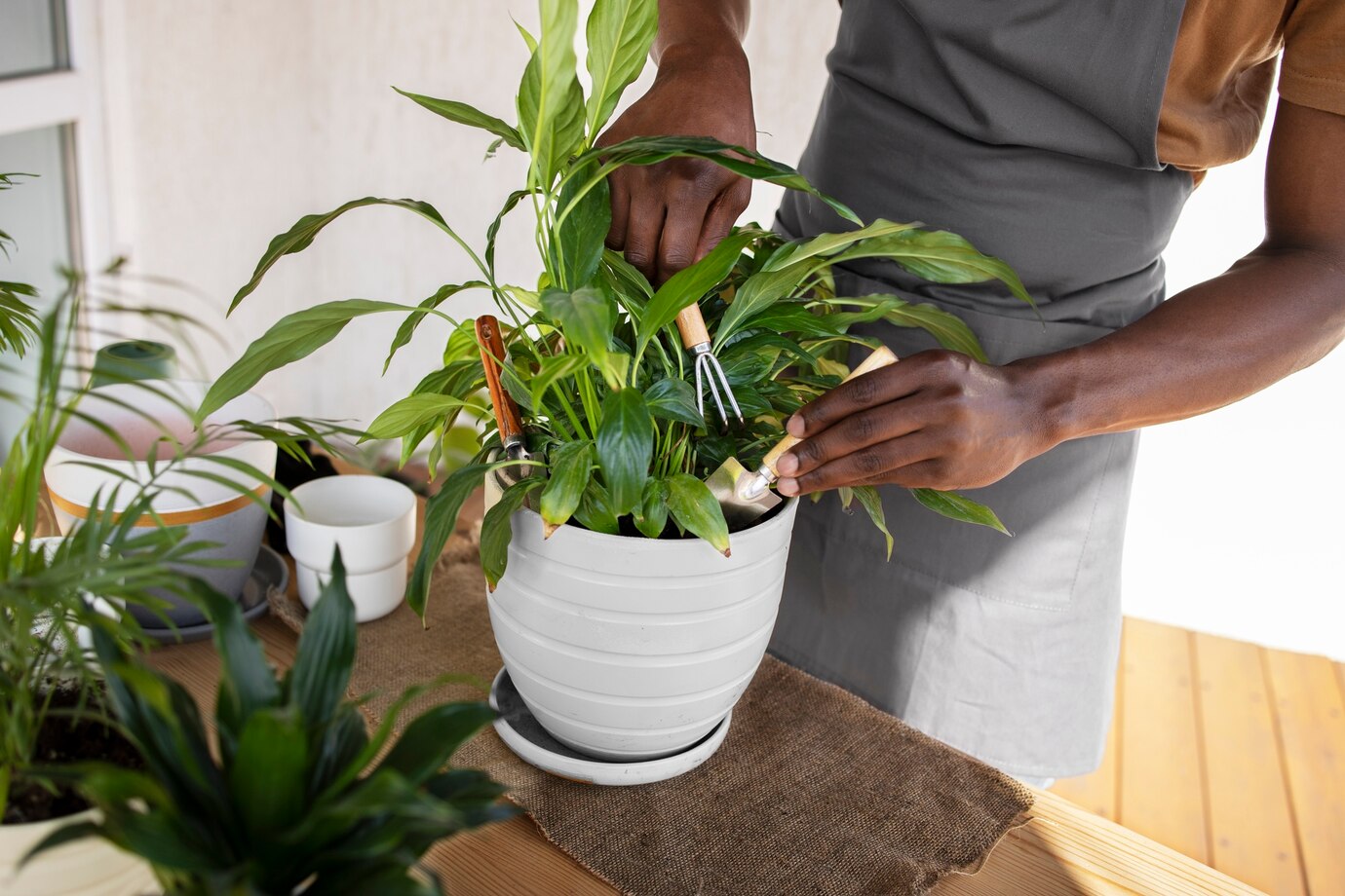 How to create an indoor garden