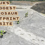 UK's Biggest Dinosaur Footprint Site