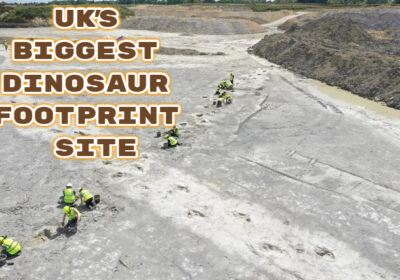 UK's Biggest Dinosaur Footprint Site